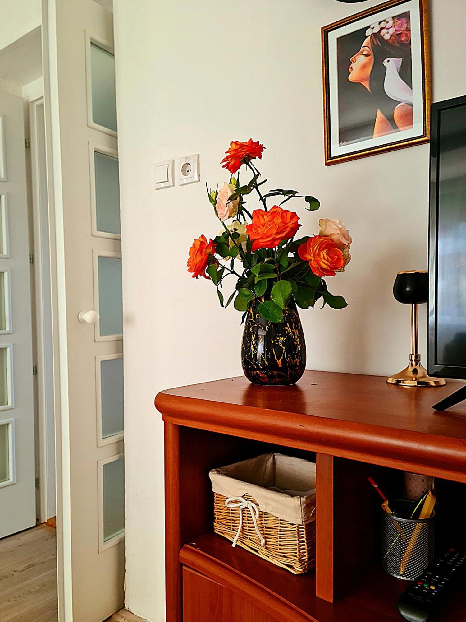 Citys Apartment Apatin Luaran gambar